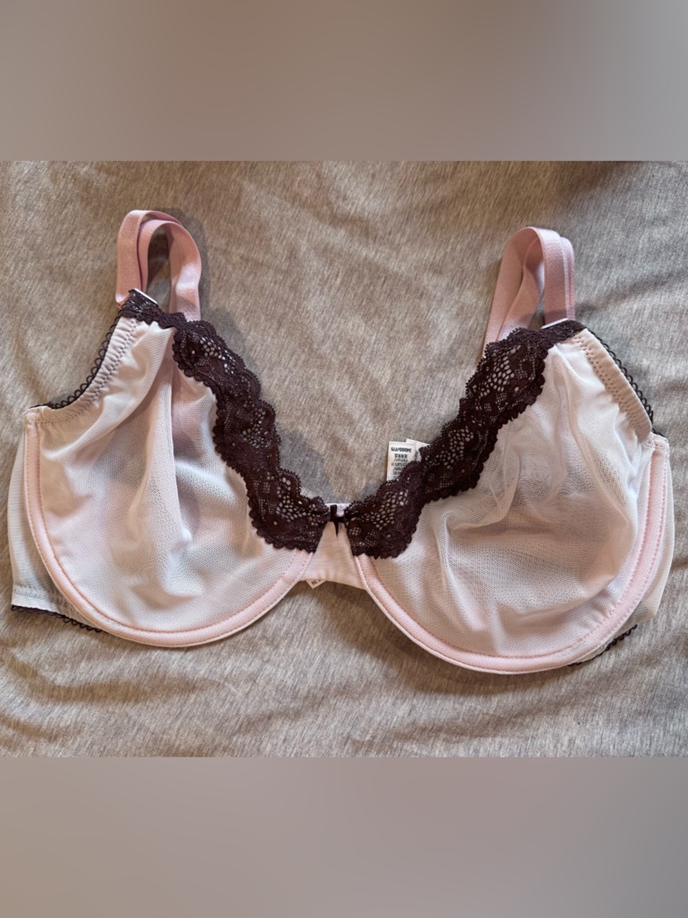 VS Sheer Lace Trim Blush Pink and Burgundy Underwire Bra